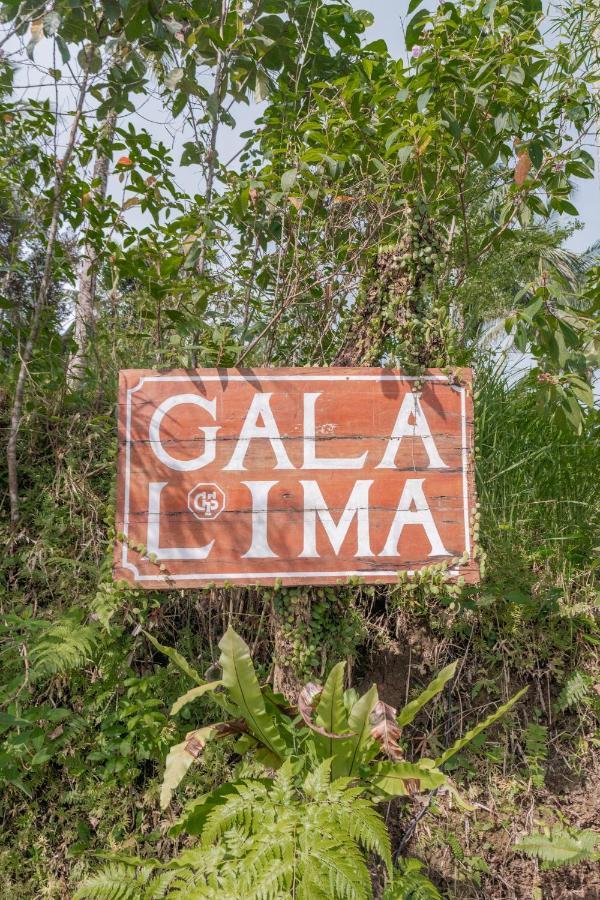 מלון Meliling Galalima Glamping By Agata מראה חיצוני תמונה